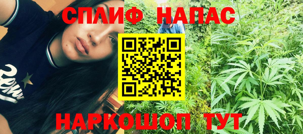 Канабис Ganja Славянск-на-Кубани